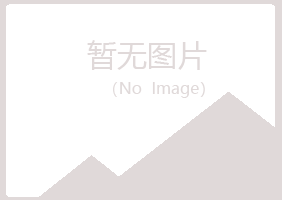 柞水县冰夏建设有限公司